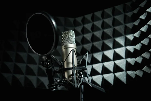 depositphotos_226445548-stock-photo-silver-professional-microphone-recording-studio